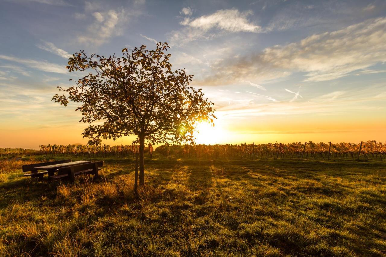 Vinotel Weinstrasse Herxheim am Berg Buitenkant foto